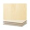 Craft Express 4 Pack Sublimation Plywood Placemats – 11.8" x 8.2" MDF Blanks